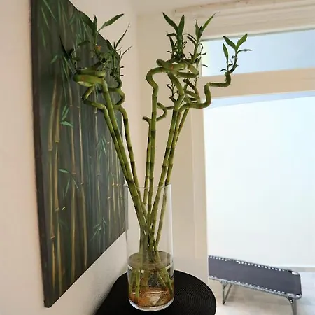 Tole Apartment *